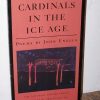 Cardinals In The Ice Age