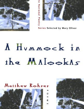 A Hummock In The Malookas