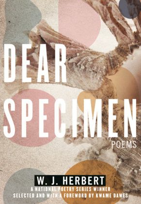 Dear Specimen