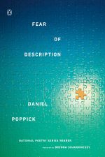 Fear of Description by Dan Poppick