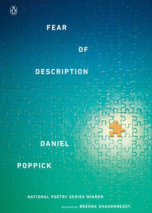 Fear of Description by Dan Poppick